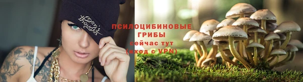 герыч Абинск