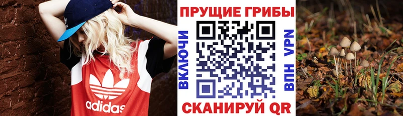 Галлюциногенные грибы MAGIC MUSHROOMS  Псков 