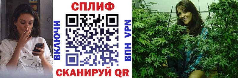 Бошки марихуана планчик  как найти закладки  Псков 